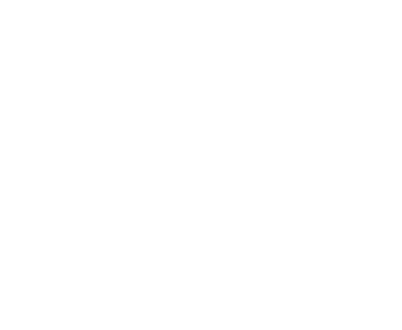5 Star roofing service
