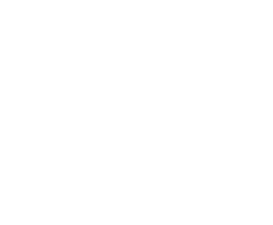 5 Star roofing service